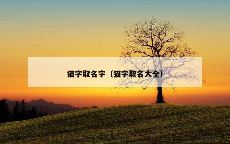 猫字取名字（猫字取名大全）