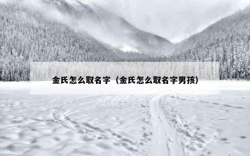 金氏怎么取名字（金氏怎么取名字男孩）