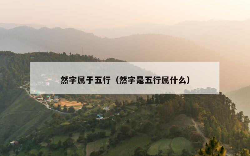 然字属于五行（然字是五行属什么）