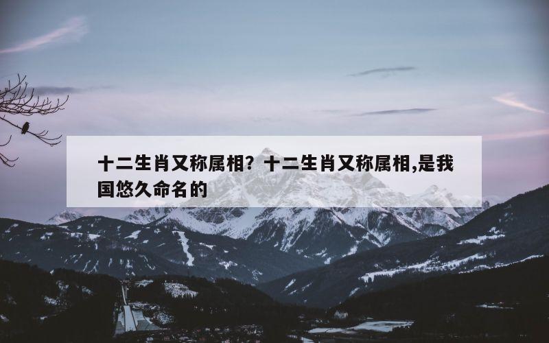 十二生肖又称属相？十二生肖又称属相,是我国悠久命名的