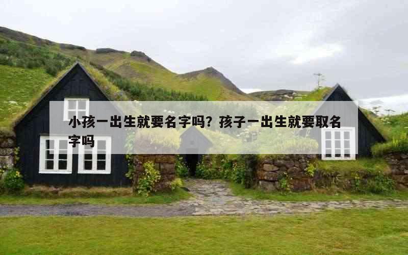 小孩一出生就要名字吗？孩子一出生就要取名字吗