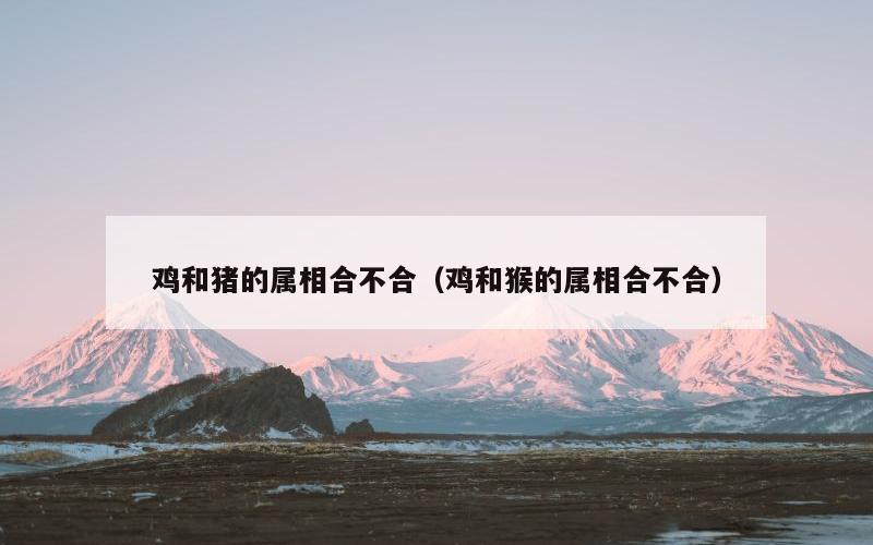 鸡和猪的属相合不合（鸡和猴的属相合不合）
