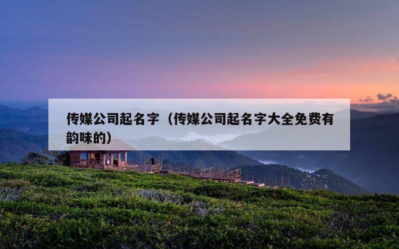 传媒公司起名字（传媒公司起名字大全免费有韵味的）