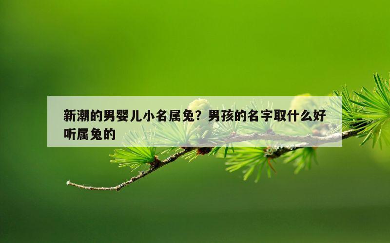 新潮的男婴儿小名属兔？男孩的名字取什么好听属兔的