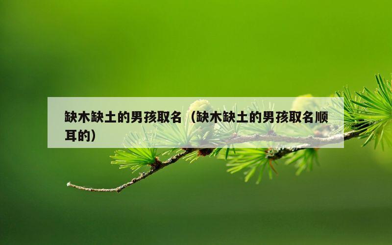 缺木缺土的男孩取名（缺木缺土的男孩取名顺耳的）