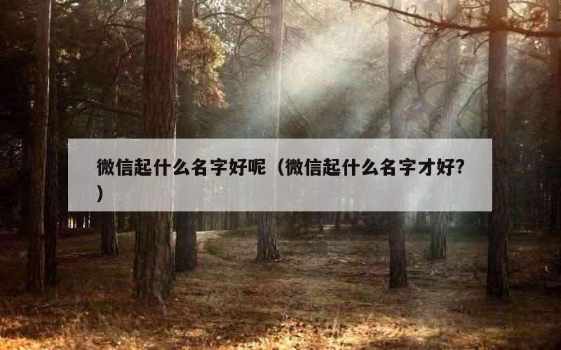 微信起什么名字好呢（微信起什么名字才好?）