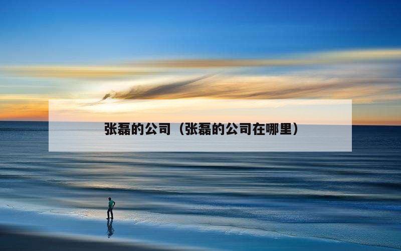 张磊的公司（张磊的公司在哪里）
