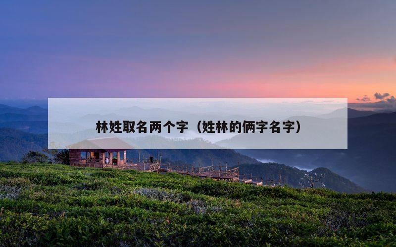 林姓取名两个字（姓林的俩字名字）
