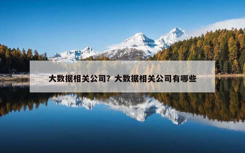 大数据相关公司？大数据相关公司有哪些