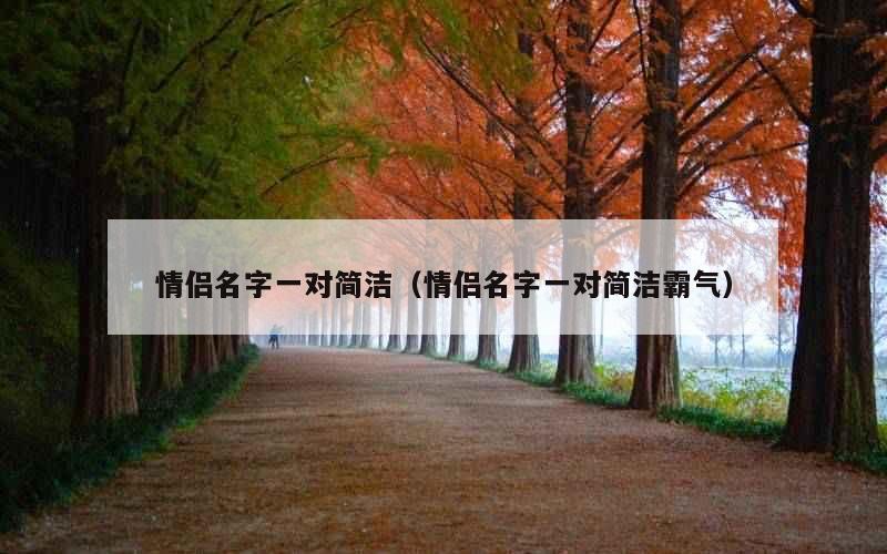 情侣名字一对简洁（情侣名字一对简洁霸气）