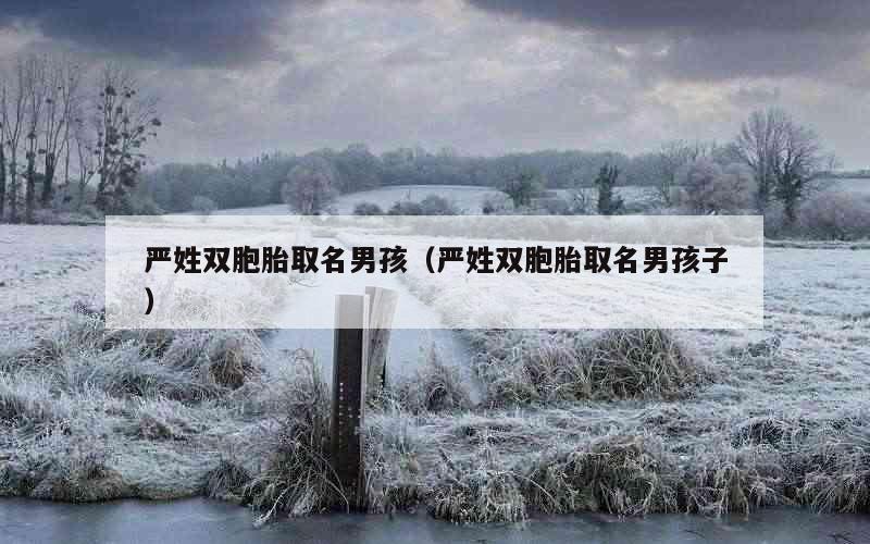 严姓双胞胎取名男孩（严姓双胞胎取名男孩子）
