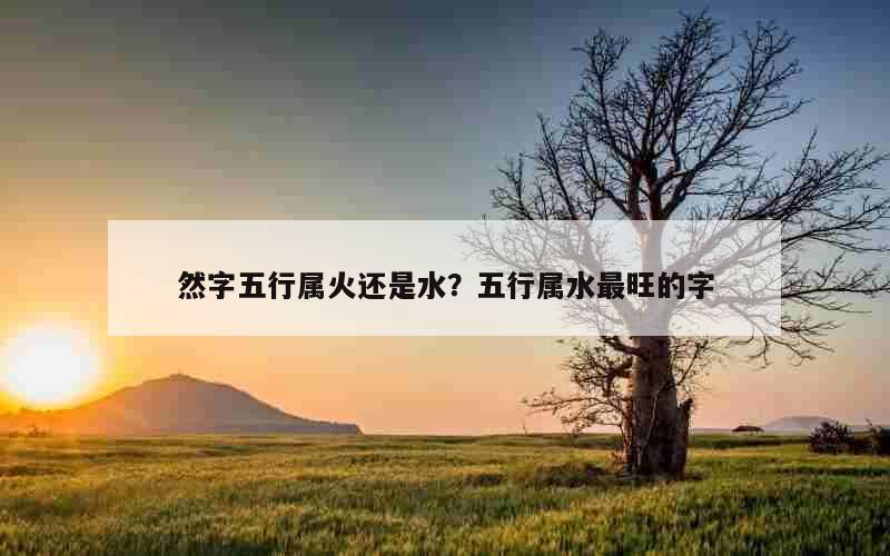 然字五行属火还是水？五行属水最旺的字
