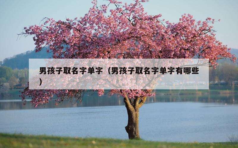 男孩子取名字单字（男孩子取名字单字有哪些）