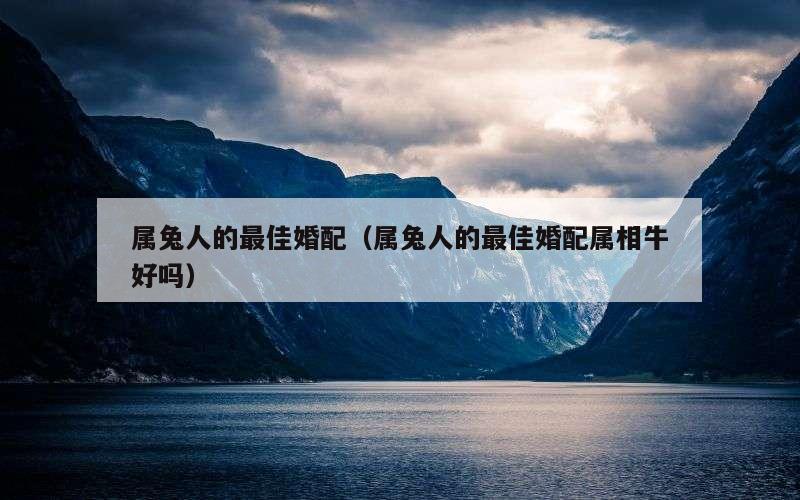 属兔人的最佳婚配（属兔人的最佳婚配属相牛好吗）