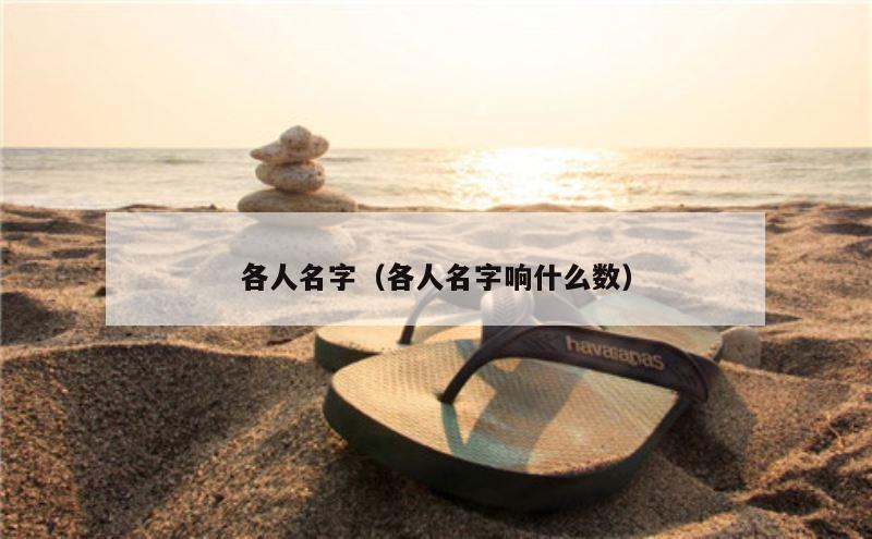 各人名字（各人名字响什么数）