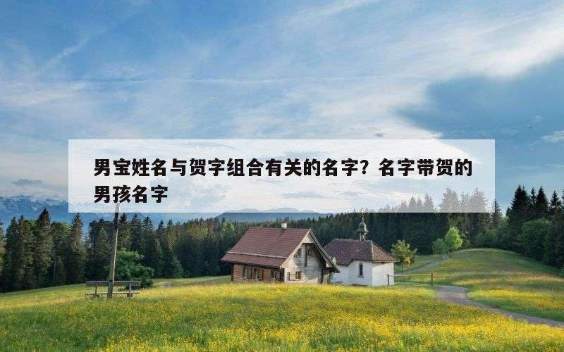 男宝姓名与贺字组合有关的名字？名字带贺的男孩名字