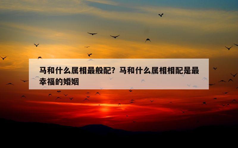 马和什么属相最般配？马和什么属相相配是最幸福的婚姻