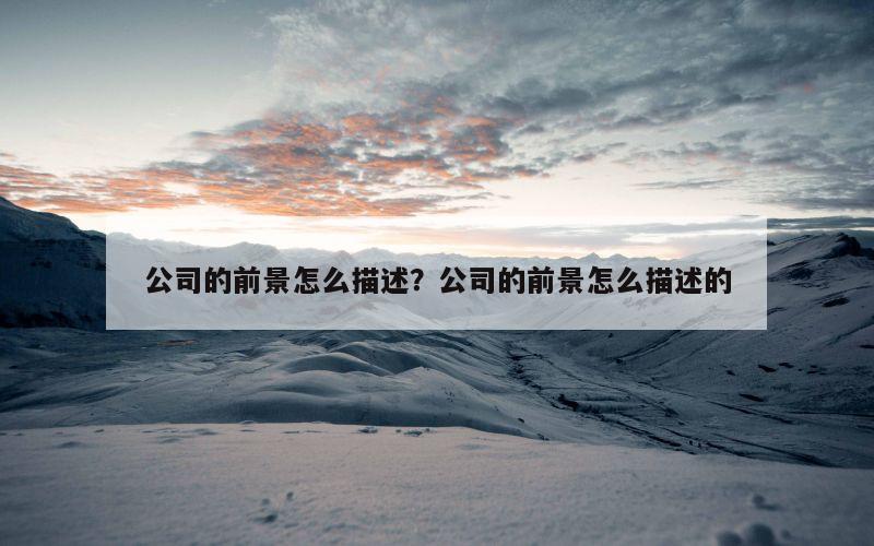 公司的前景怎么描述？公司的前景怎么描述的