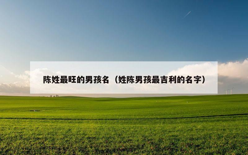陈姓最旺的男孩名（姓陈男孩最吉利的名字）