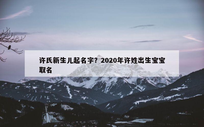 许氏新生儿起名字？2020年许姓出生宝宝取名