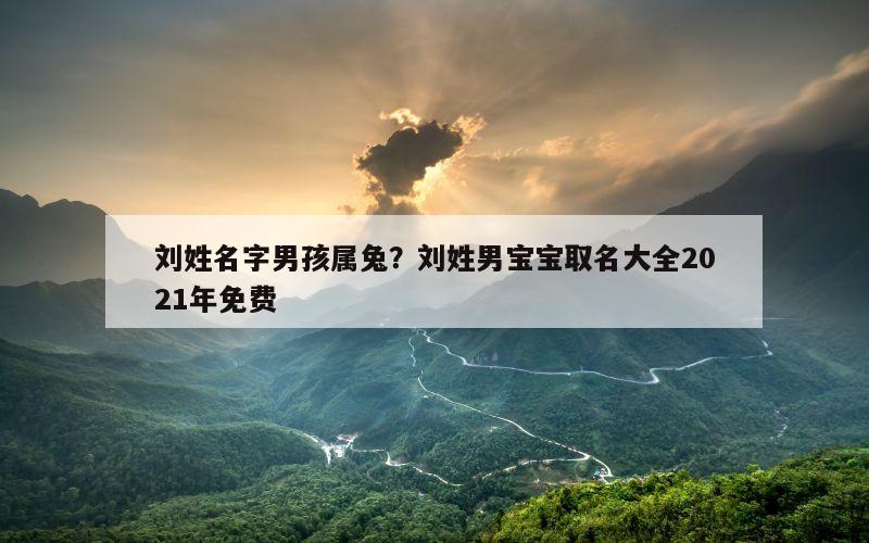 刘姓名字男孩属兔？刘姓男宝宝取名大全2021年免费