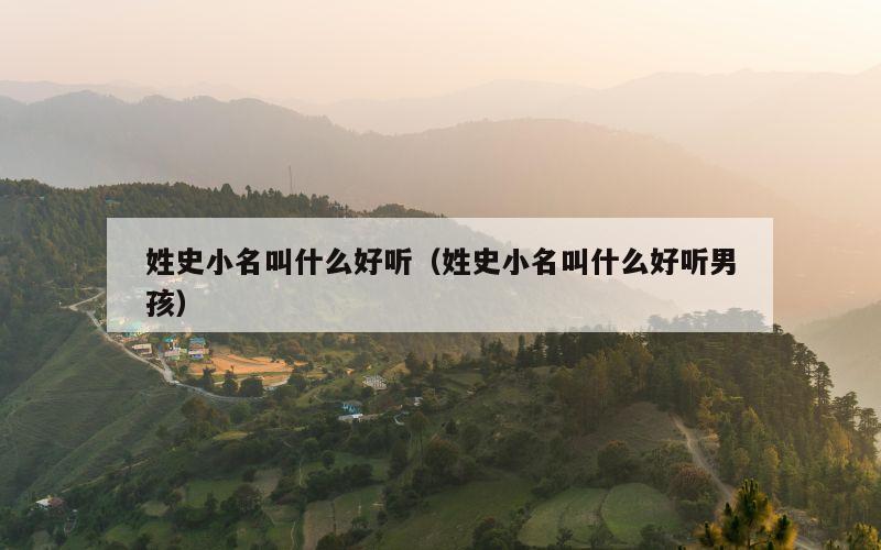 姓史小名叫什么好听（姓史小名叫什么好听男孩）