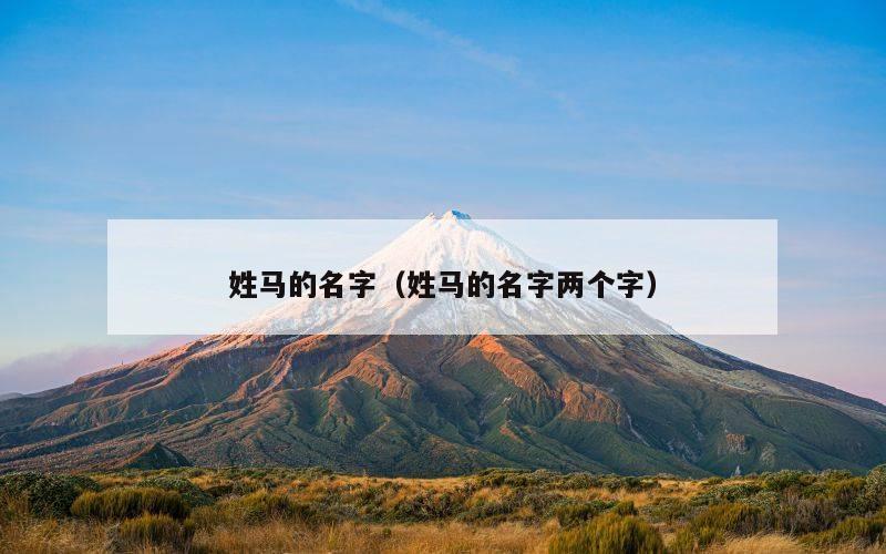 姓马的名字（姓马的名字两个字）