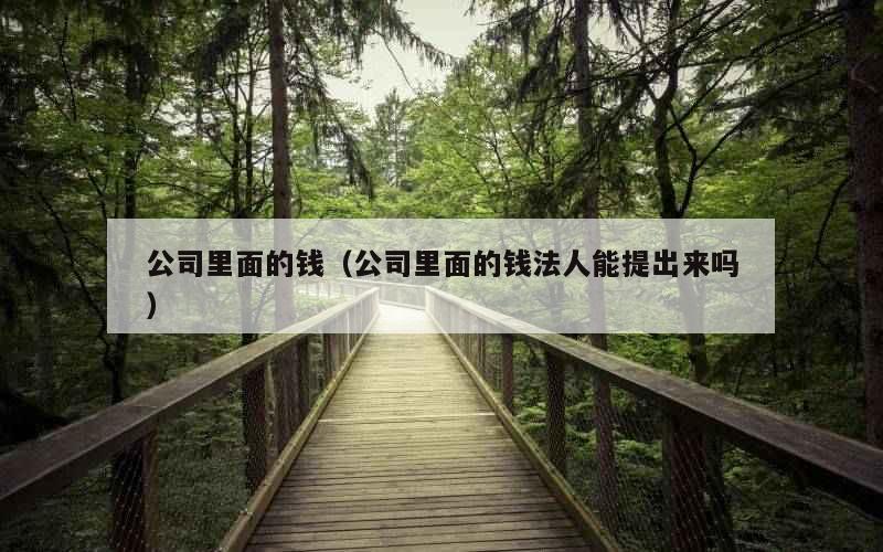 公司里面的钱（公司里面的钱法人能提出来吗）