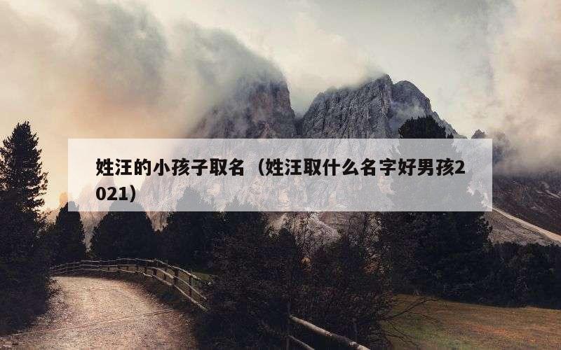 姓汪的小孩子取名（姓汪取什么名字好男孩2021）