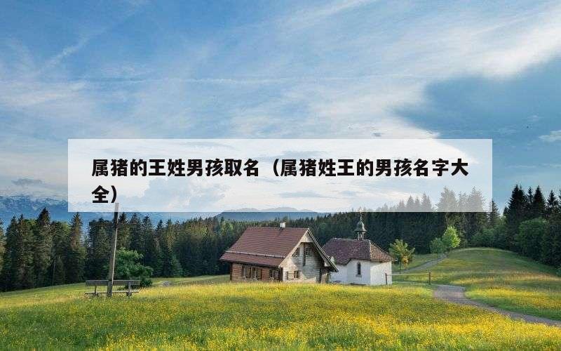 属猪的王姓男孩取名（属猪姓王的男孩名字大全）
