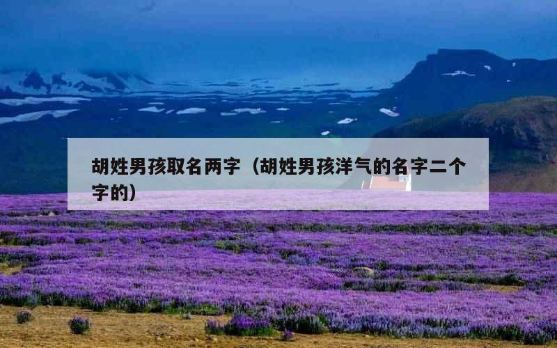 胡姓男孩取名两字（胡姓男孩洋气的名字二个字的）