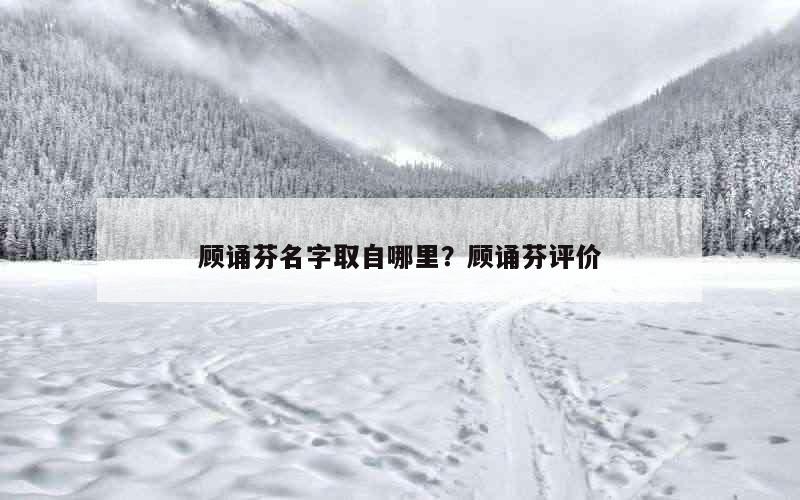 顾诵芬名字取自哪里？顾诵芬评价
