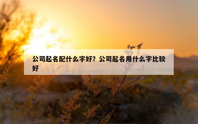公司起名配什么字好？公司起名用什么字比较好