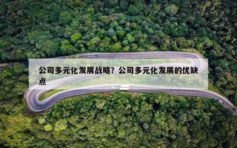 公司多元化发展战略？公司多元化发展的优缺点