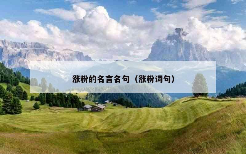 涨粉的名言名句（涨粉词句）