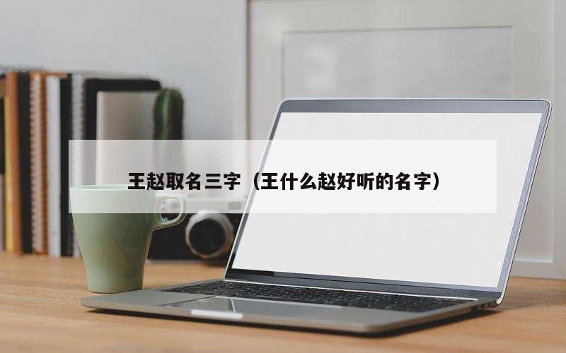 王赵取名三字（王什么赵好听的名字）