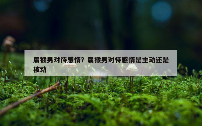 属猴男对待感情？属猴男对待感情是主动还是被动