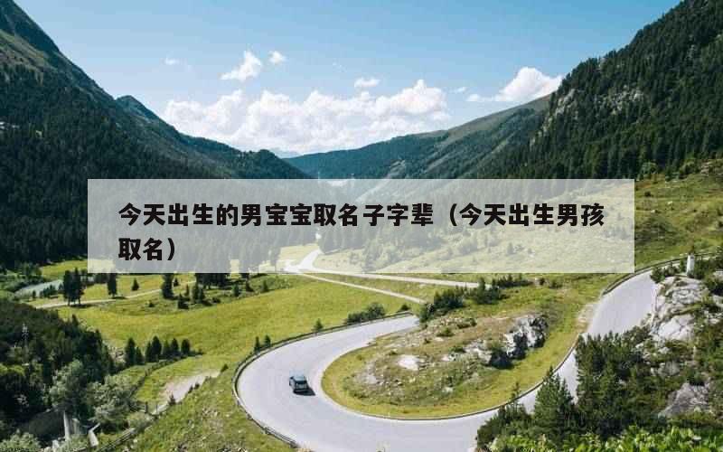 今天出生的男宝宝取名子字辈（今天出生男孩取名）