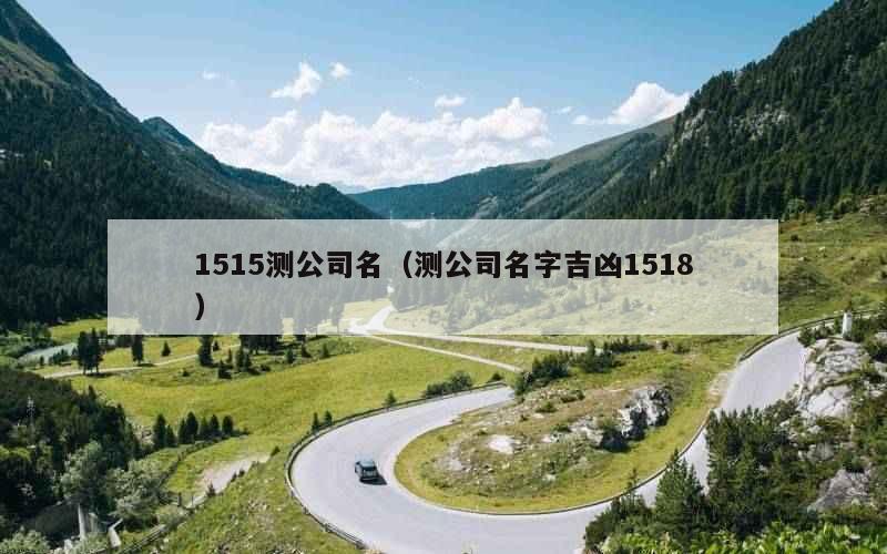 1515测公司名（测公司名字吉凶1518）