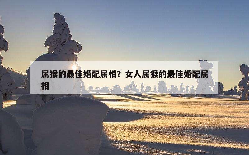 属猴的最佳婚配属相？女人属猴的最佳婚配属相