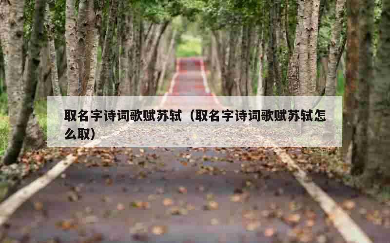 取名字诗词歌赋苏轼（取名字诗词歌赋苏轼怎么取）