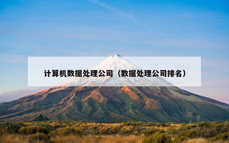 计算机数据处理公司（数据处理公司排名）