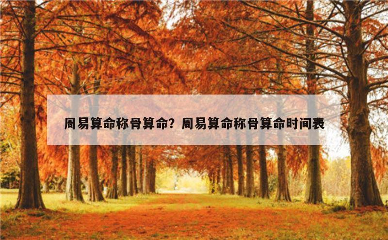 周易算命称骨算命？周易算命称骨算命时间表