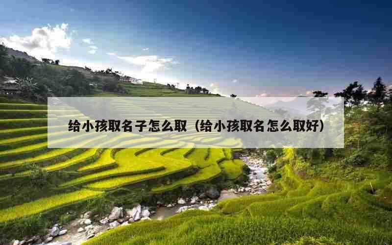 给小孩取名子怎么取（给小孩取名怎么取好）
