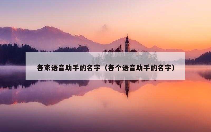 各家语音助手的名字（各个语音助手的名字）