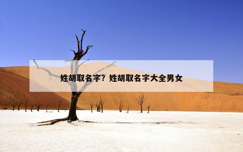 姓胡取名字？姓胡取名字大全男女