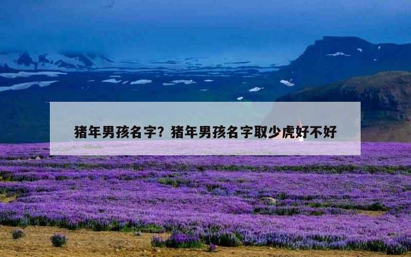 猪年男孩名字？猪年男孩名字取少虎好不好