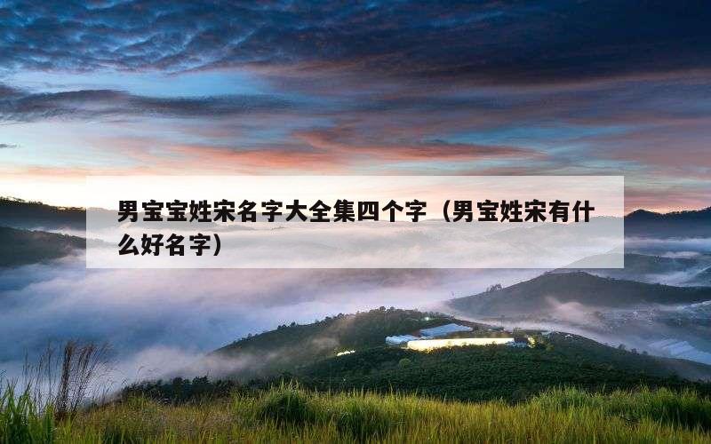 男宝宝姓宋名字大全集四个字（男宝姓宋有什么好名字）