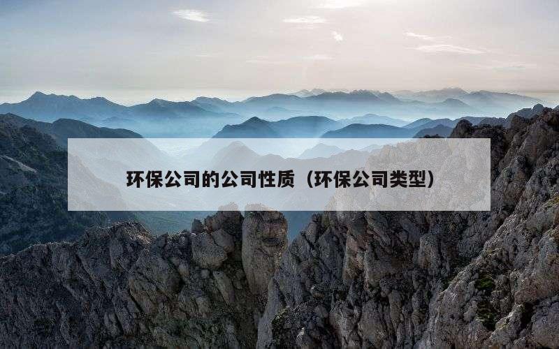 环保公司的公司性质（环保公司类型）