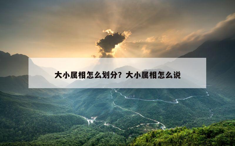 大小属相怎么划分？大小属相怎么说